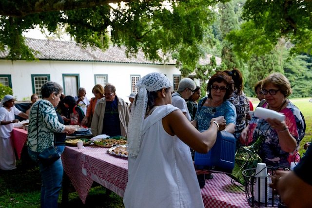 Fazenda de café